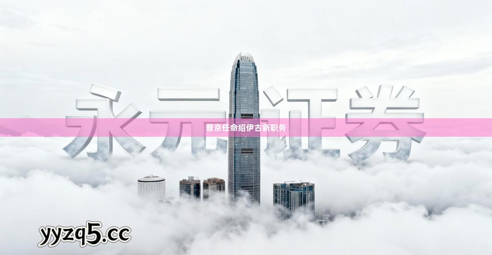 普京任命绍伊古新职务